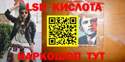 эйфоретик Гатчина