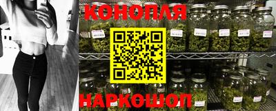 эйфоретик Гатчина