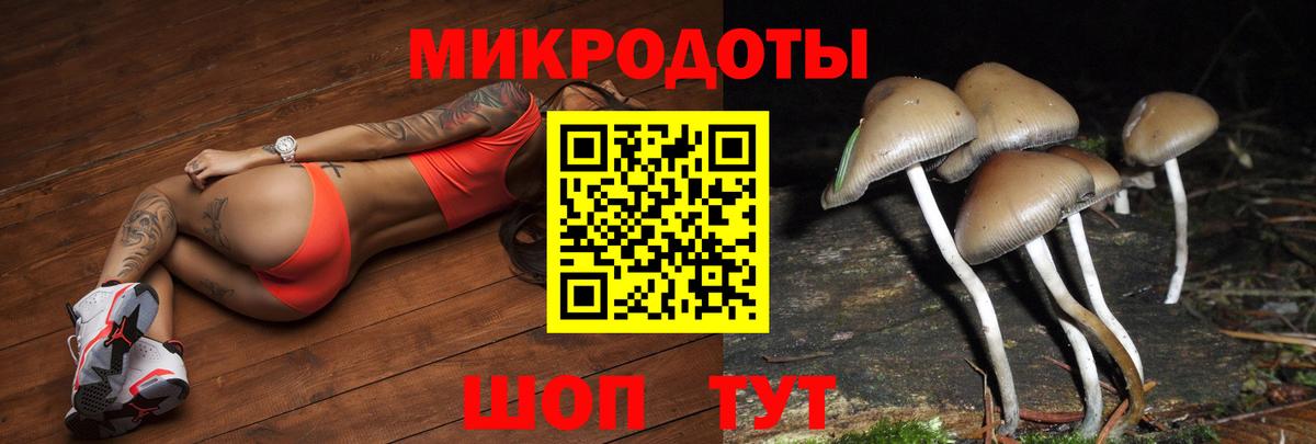 Галлюциногенные грибы MAGIC MUSHROOMS Кондопога