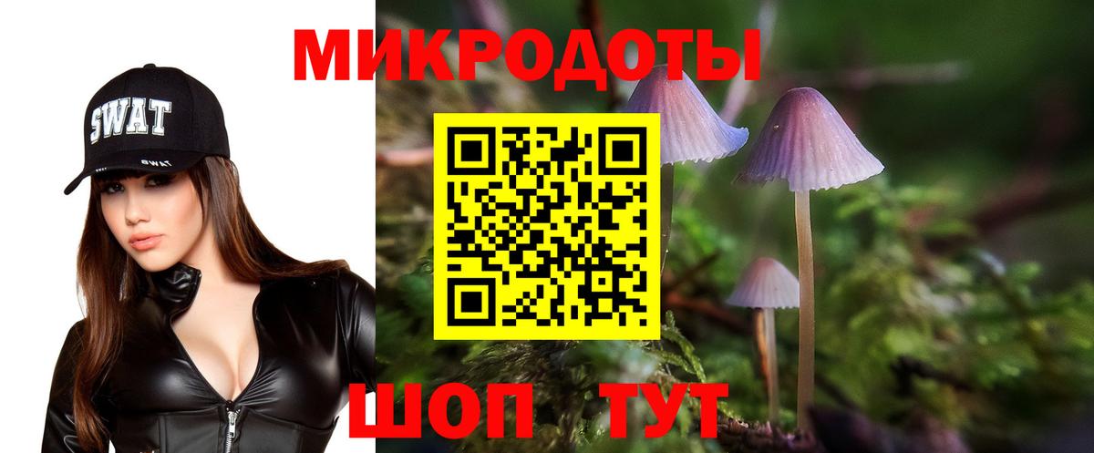 Псилоцибиновые грибы мухоморы  Вход с VPN  Кондопога 